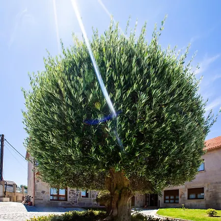 Aparthotel Eira Do Mar Sanxenxo Aios