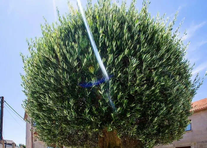 Διαμέρισμα Eira Do Mar Sanxenxo Aios